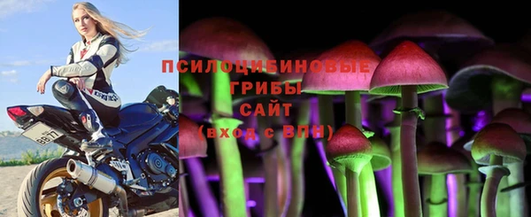 героин Алексин