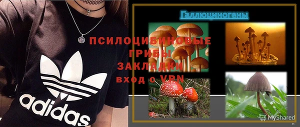 героин Алексин